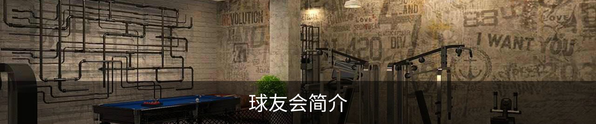 球友会简介